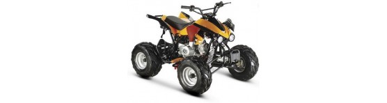 Mini Moto 4, Moto 4, Quad, ATV