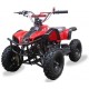 Mini Moto 4, Pocket Quad, Minimota, Torrino Vermelha, 49cc para criança