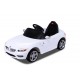 Carrinho Eletrico BMW Z4 com Comando e Licença Oficial
