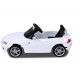 Carrinho Eletrico BMW Z4 com Comando e Licença Oficial