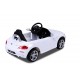 Carrinho Eletrico BMW Z4 com Comando e Licença Oficial