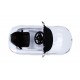 Carrinho Eletrico BMW Z4 com Comando e Licença Oficial